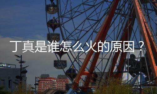 丁真丁个原因一个怎么真走火的红第是谁视频是哪